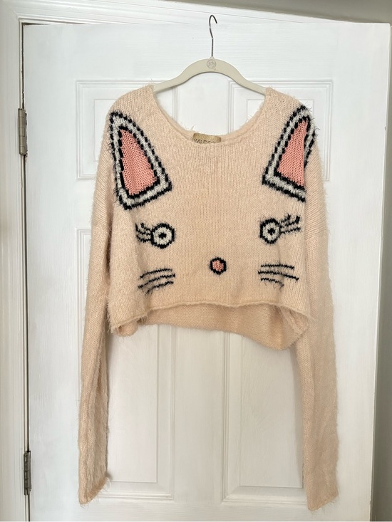 Wildfox Sweaters - Rare Wildfox Fuzzy Cat Cropped Sweater